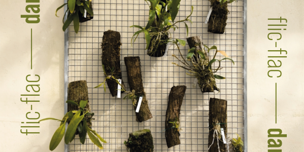 danca_no_jardim_2026